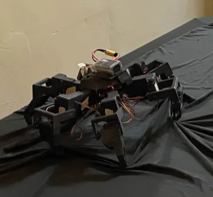 Animotronic Spider at Boos and Bites