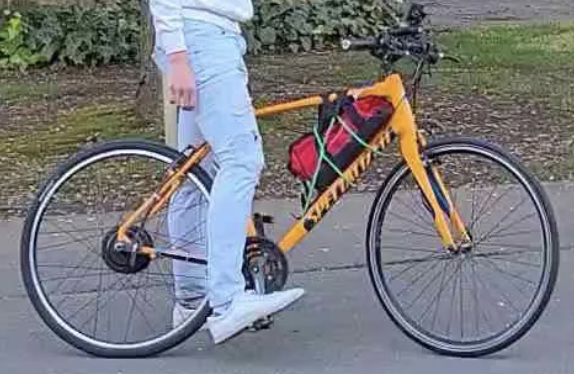 Electric Bike